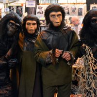 Cosplay of THE PLANET OF THE APES